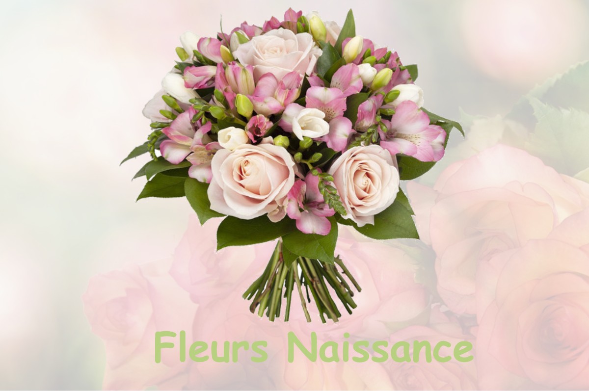 fleurs naissance HERBEUVILLE