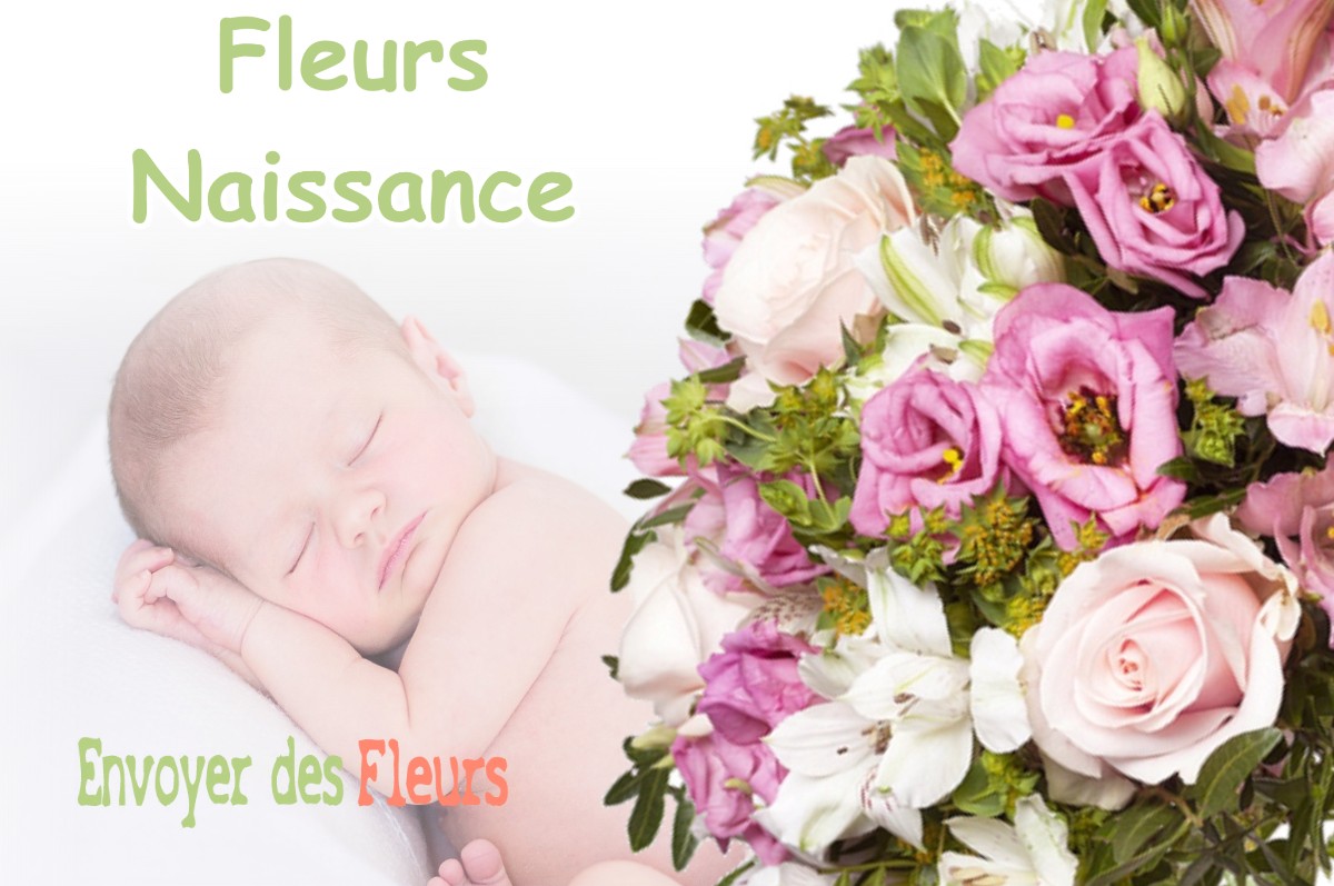 lIVRAISON FLEURS NAISSANCE à HERBEUVILLE